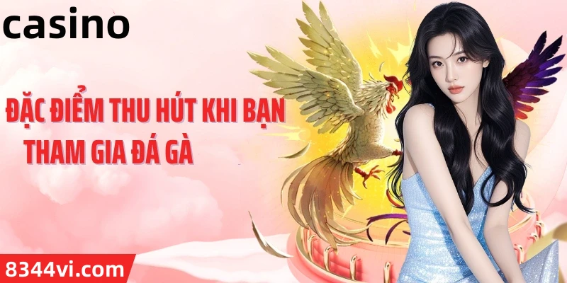 Hình ảnh quảng cáo của mcw678 hiển thị nền tảng và các lợi ích